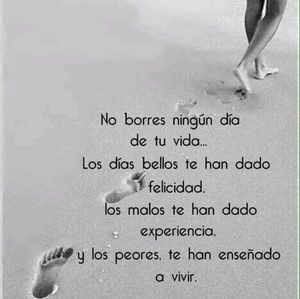 Meet your Posher, Michel